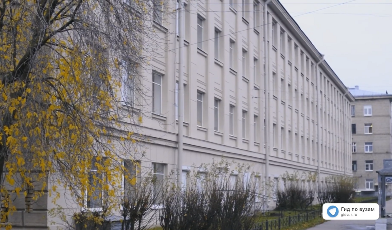 Лингвистика