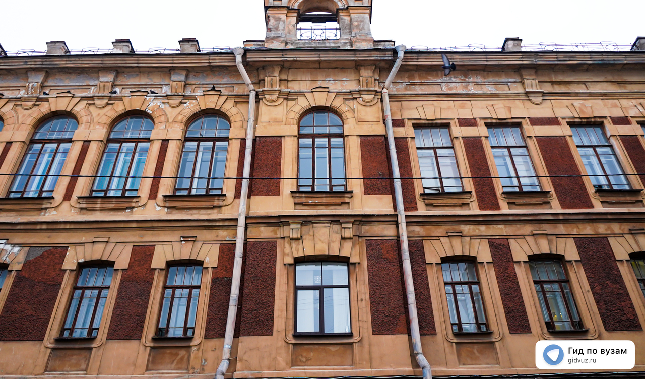 Специальное (дефектологическое) образование