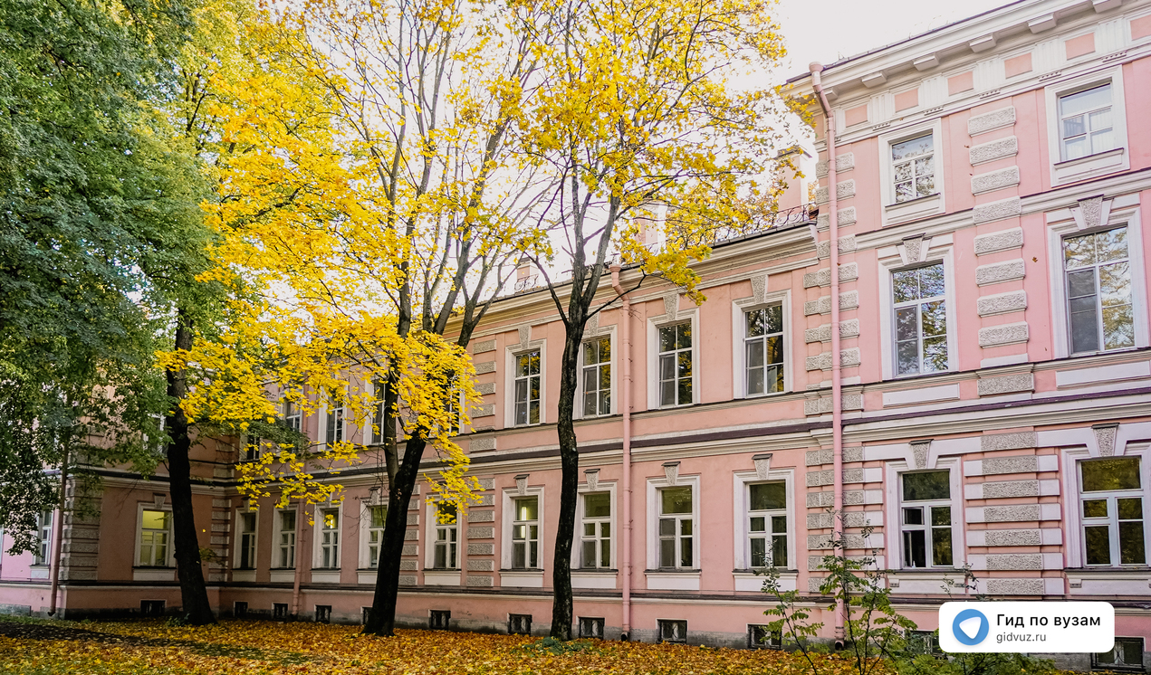 Педиатрия