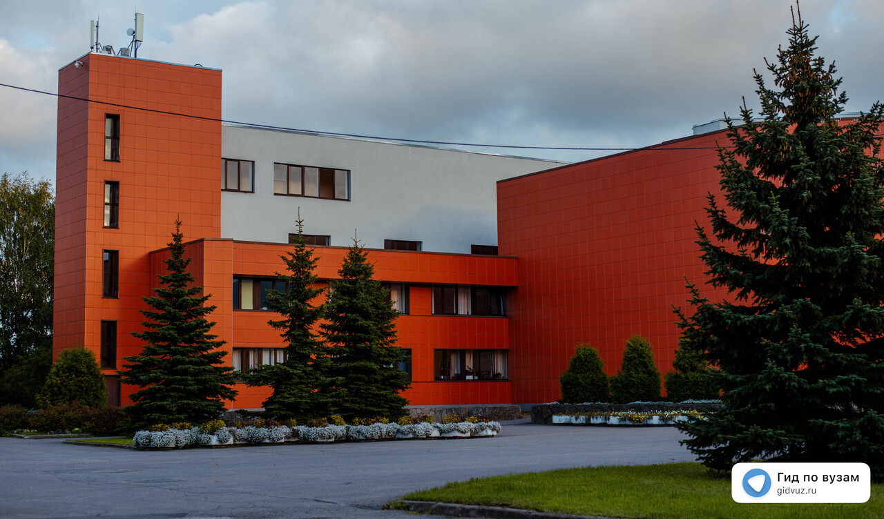 Менеджмент 